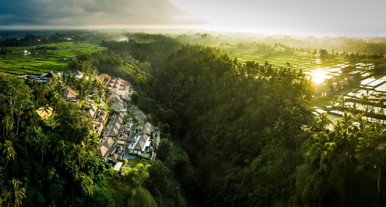 Resort Viceroy Bali Ubud (Bali)